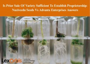 Is Prior Sale Of Variety Sufficient To Establish Proprietorship: Nuziveedu Seeds Vs Advanta Enterprises Answers