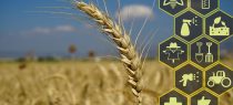 Method of Agriculture under Section 3(h): Limits and Reach