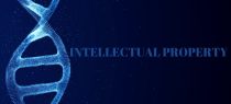 Analysing WIPO’s Landmark Treaty on Intellectual Property, Genetic Resources, and Associated Traditional Knowledge