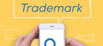 Trademark Overlap: The Battle for “Paragon” Mark