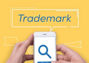 Trademark Overlap: The Battle for “Paragon” Mark