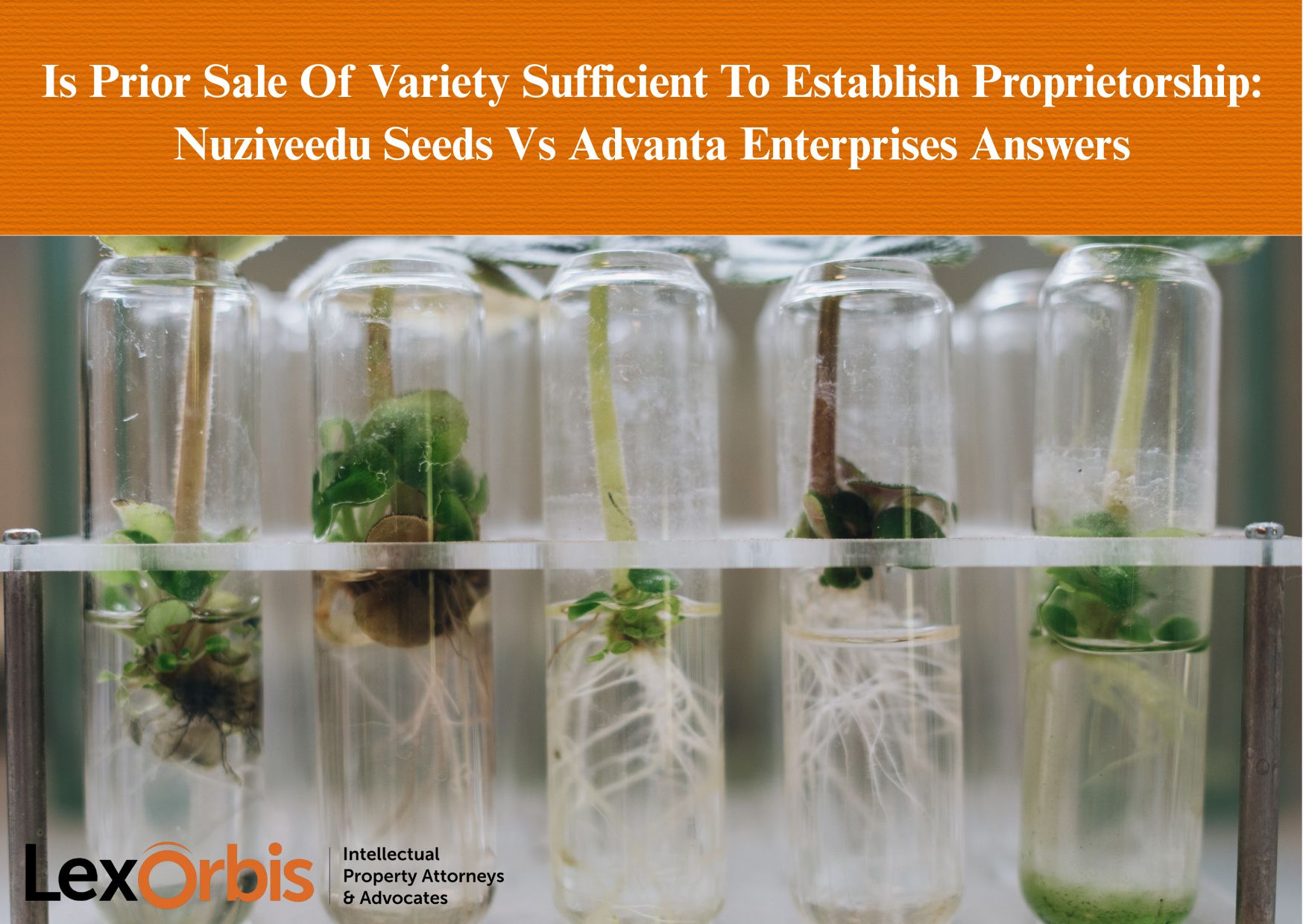 Is Prior Sale Of Variety Sufficient To Establish Proprietorship: Nuziveedu Seeds Vs Advanta Enterprises Answers