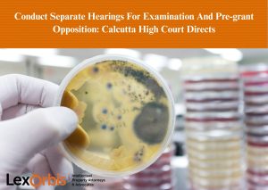 Conduct Separate Hearings For Examination And Pre-grant Opposition: Calcutta High Court Directs