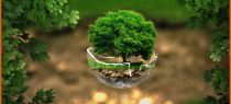 Revisiting the Biological Diversity (Amendment) Act, 2023- Key Takeaways for Companies, Researchers, and IP Stakeholders