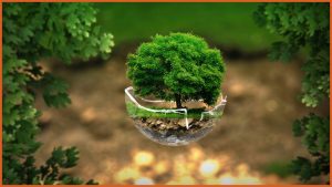Revisiting the Biological Diversity (Amendment) Act, 2023- Key Takeaways for Companies, Researchers, and IP Stakeholders