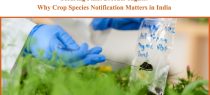 Securing Plant Breeder Rights: Why Crop Species Notification Matters in India