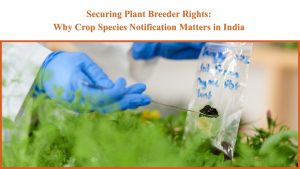 Securing Plant Breeder Rights: Why Crop Species Notification Matters in India