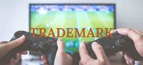 Delhi High Court Grants Ex-Parte Ad-Interim Relief Against Rogue Fantasy Gaming Platform for Trademark and Copyright Infringement
