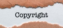 Madras High Court Clarifies Copyright Ownership in Cinematographic Films: Producer Must Establish Initiative and Responsibility