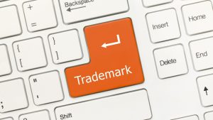 Delhi High Court Refers Key Questions on Territorial Jurisdiction in Online IP Disputes to Larger Bench