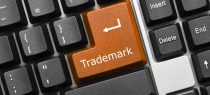 Trademark Infringement Suits Cannot Be Tried by Courts Below District Court: Kerala High Court Decides