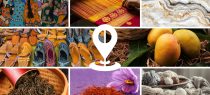 The Collision of Geographical Indications and Trade Marks: India-EU Approaches to Geographical Names